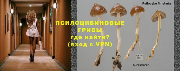ПСИЛОЦИБИНОВЫЕ ГРИБЫ Абинск