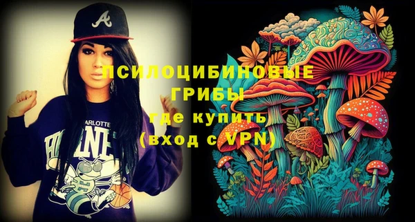 крисы Абаза