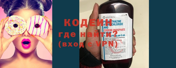 крисы Абаза