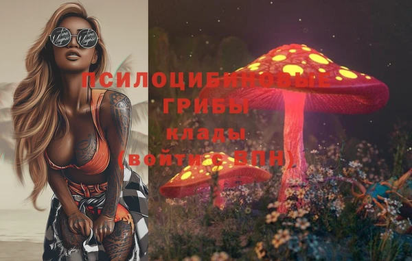 крисы Абаза