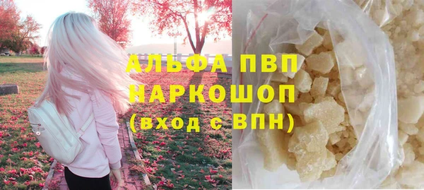 крисы Абаза