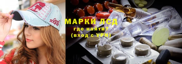 крисы Абаза