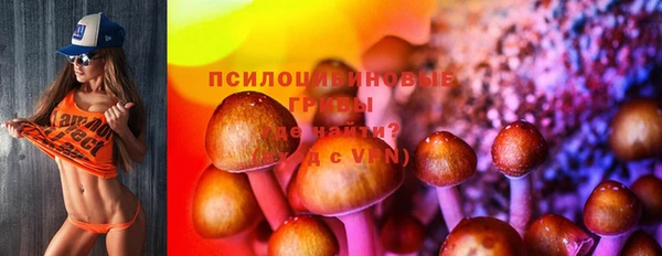 ПСИЛОЦИБИНОВЫЕ ГРИБЫ Абинск