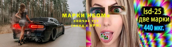 крисы Абаза