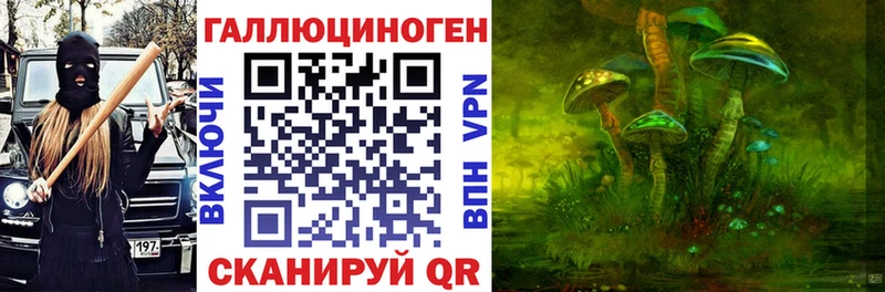 Галлюциногенные грибы Psilocybe  Новосиль 